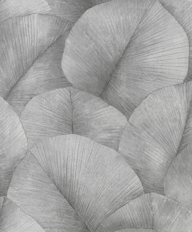 Sample Palm Leaf Wallpaper in Grey