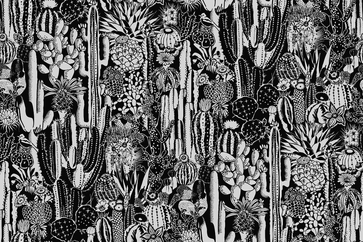 Cactus Spirit Wallpaper in Contrast design by Aimee Wilder