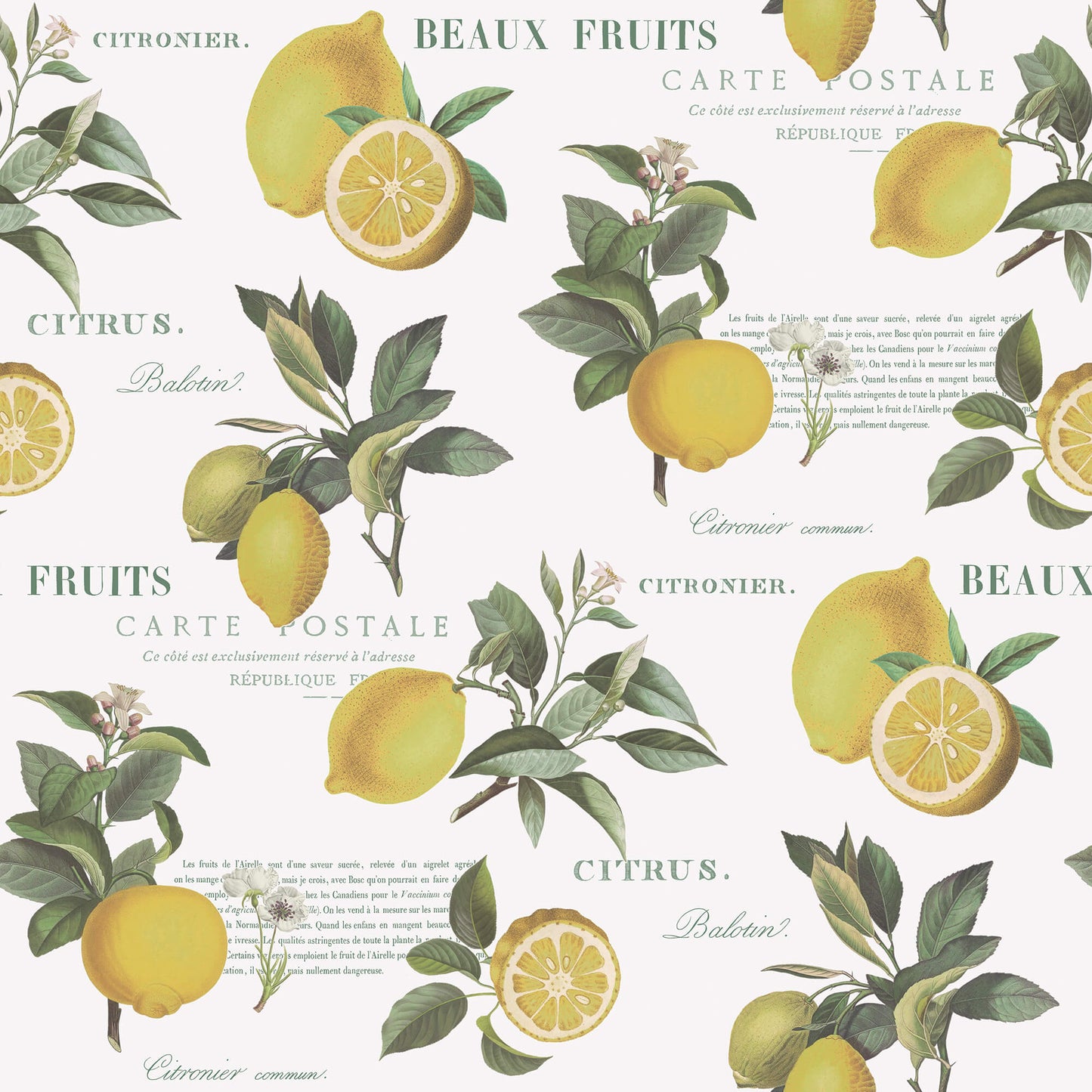 sample citron botanical yellow green wallpaper from the just kitchens collection by galerie wallcoverings 1