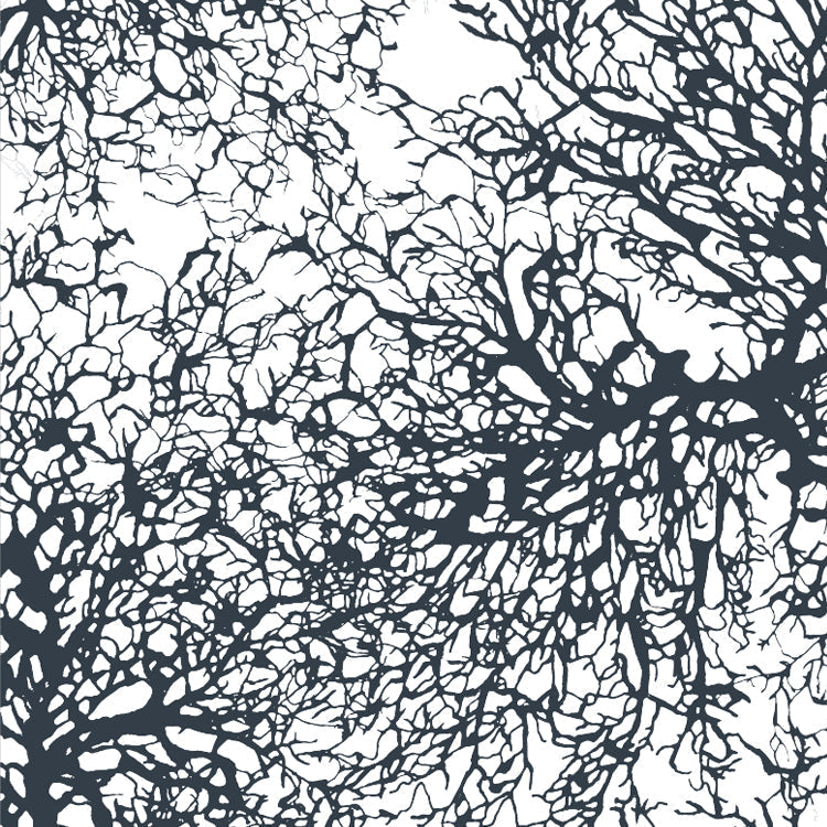 Sample Gorgonian Vinyl Wallpaper In Charcoal Design By Jill Malek 1