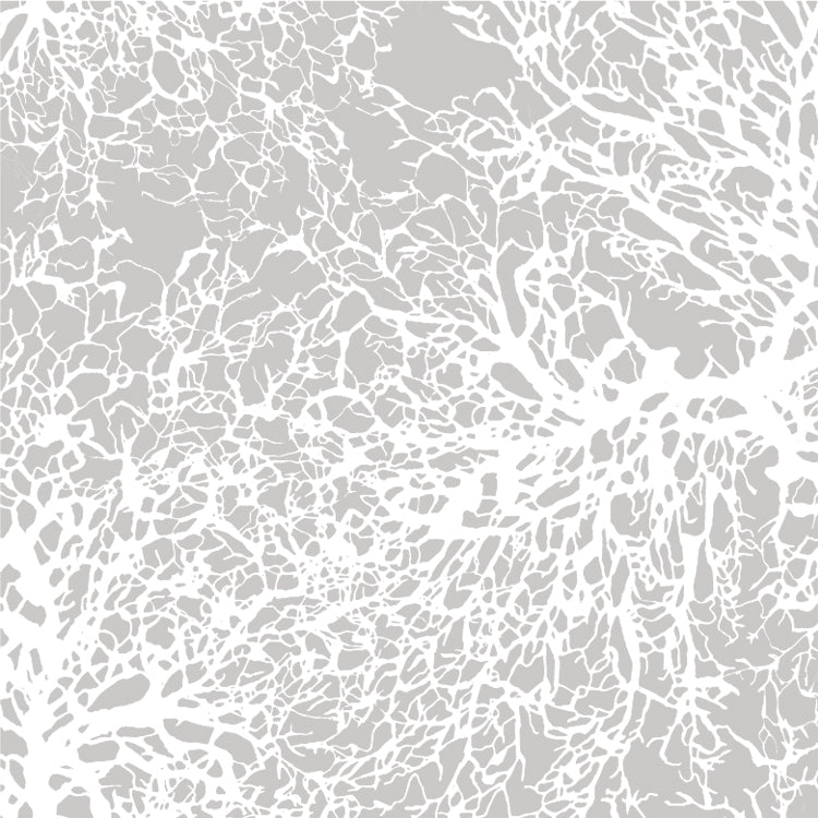 Sample Gorgonian Vinyl Wallpaper In Stone Design By Jill Malek 1