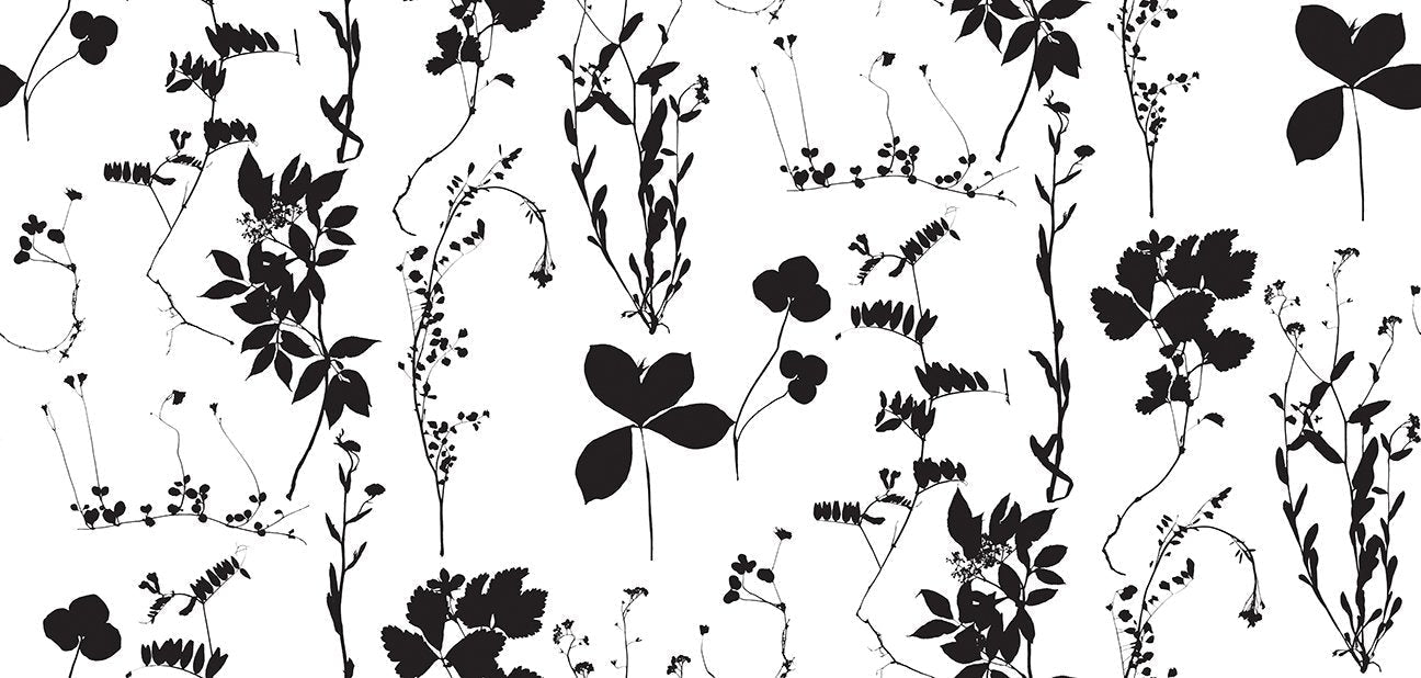 Herbario Wallpaper in Cinder design by Aimee Wilder