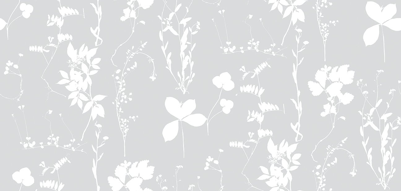 Herbario Wallpaper in Dove design by Aimee Wilder