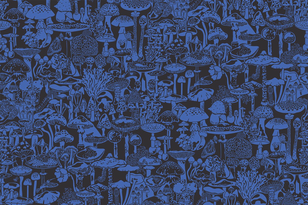 Mushroom City Wallpaper in Asteroid design by Aimee Wilder