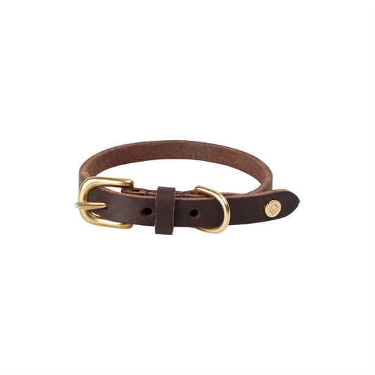 robin dog collar choko 2