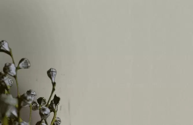 Sand Grain Stripes 32505 Wallpaper by BD Wall