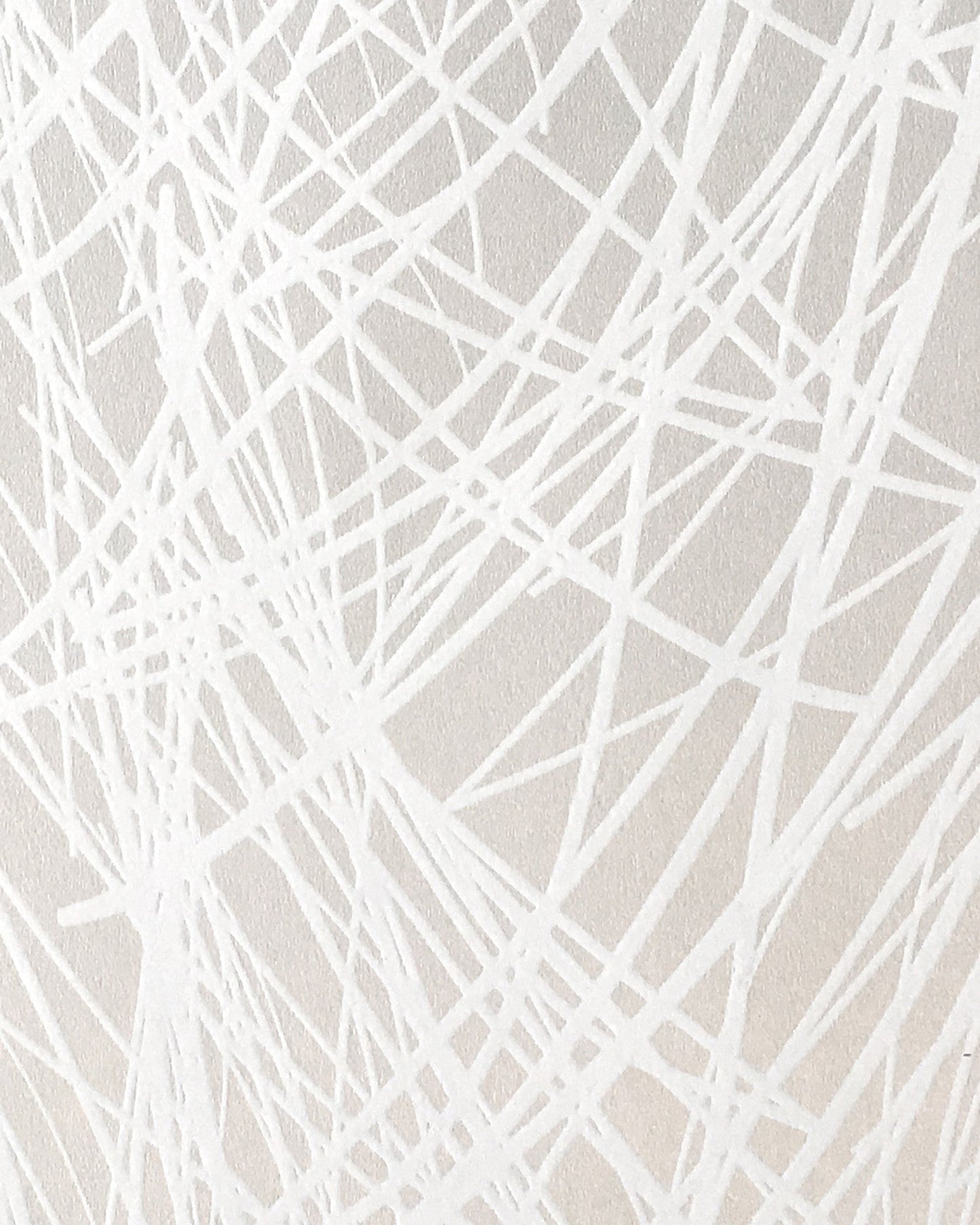 sample shag wallpaper in ice design by jill malek 1