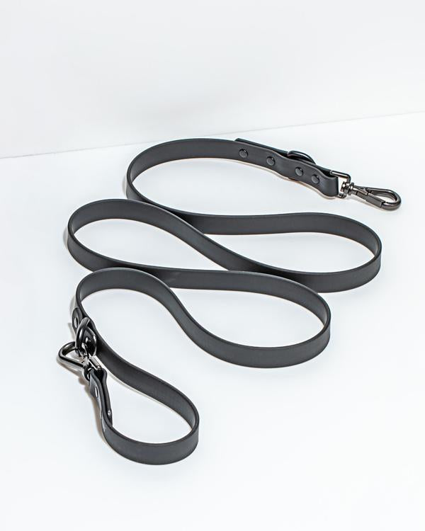 Leash in Various Sizes & Colors