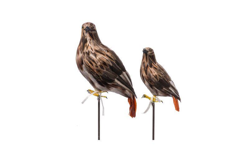 eagle small design by puebco 4