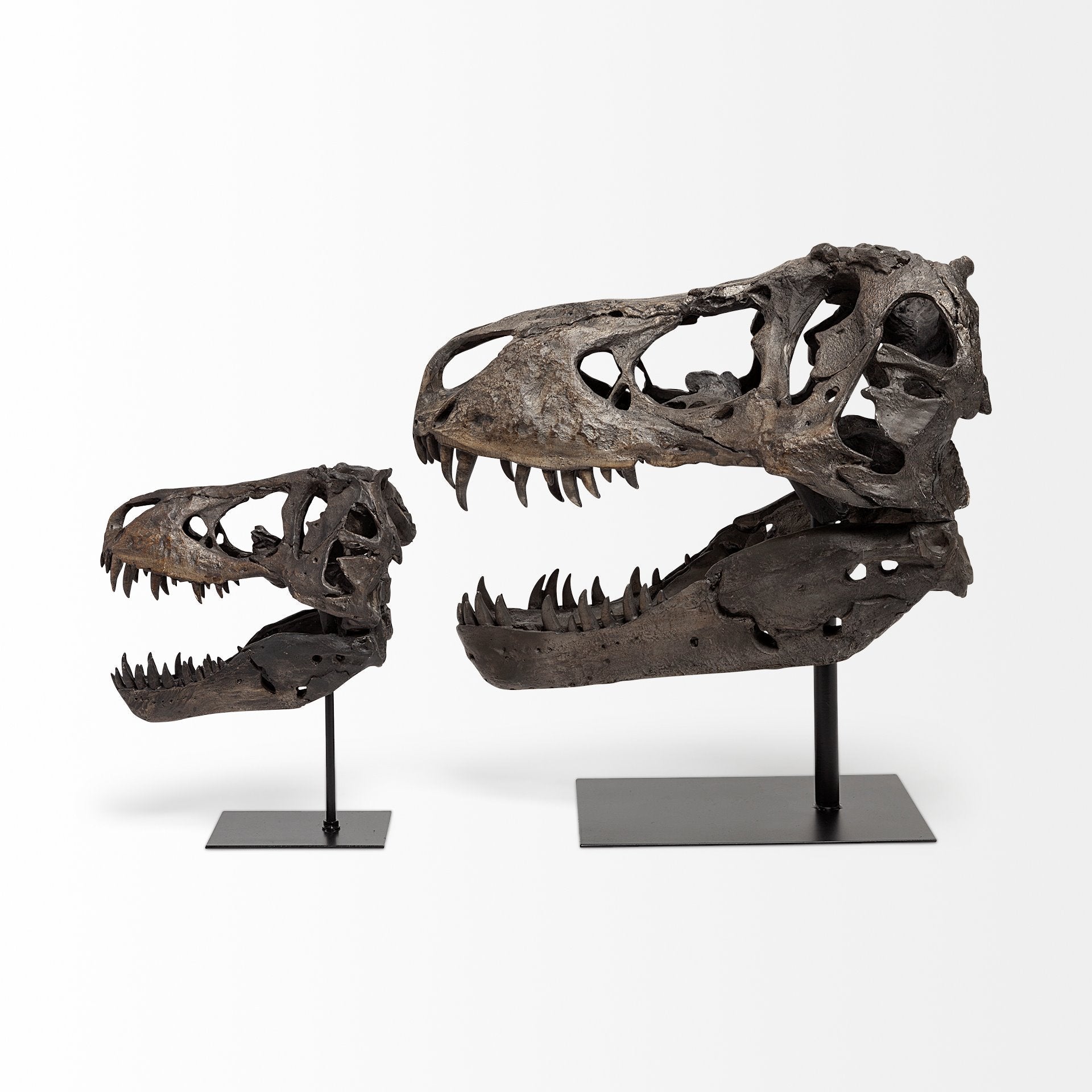 Jurassic Object Mercana Mer 57430 10