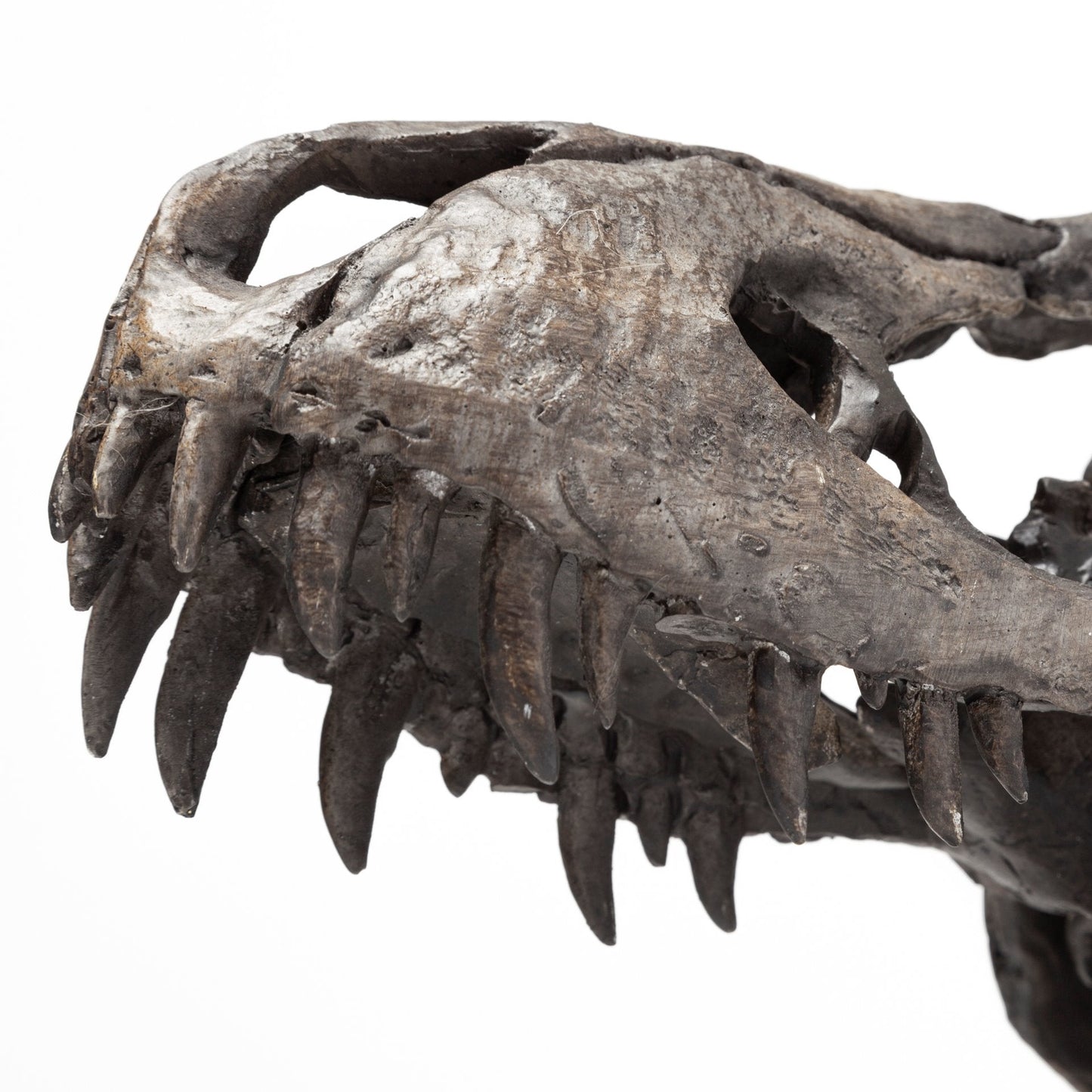 Jurassic Object Mercana Mer 57430 13