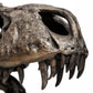 Jurassic Object Mercana Mer 57430 14