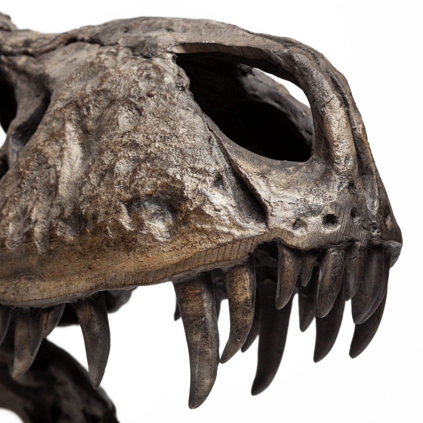Jurassic Object Mercana Mer 57430 14