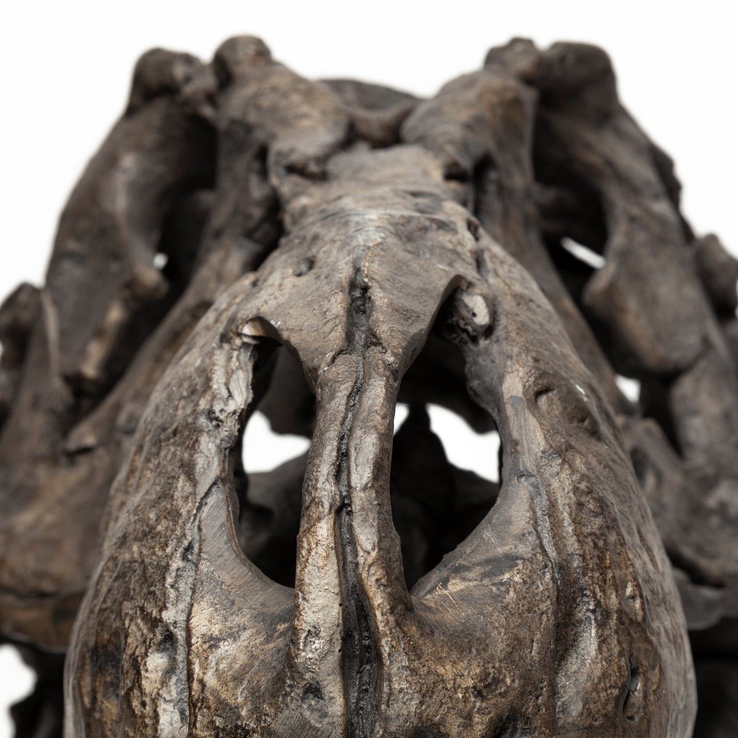 Jurassic Object Mercana Mer 57430 12