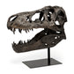 Jurassic Object Mercana Mer 57430 2