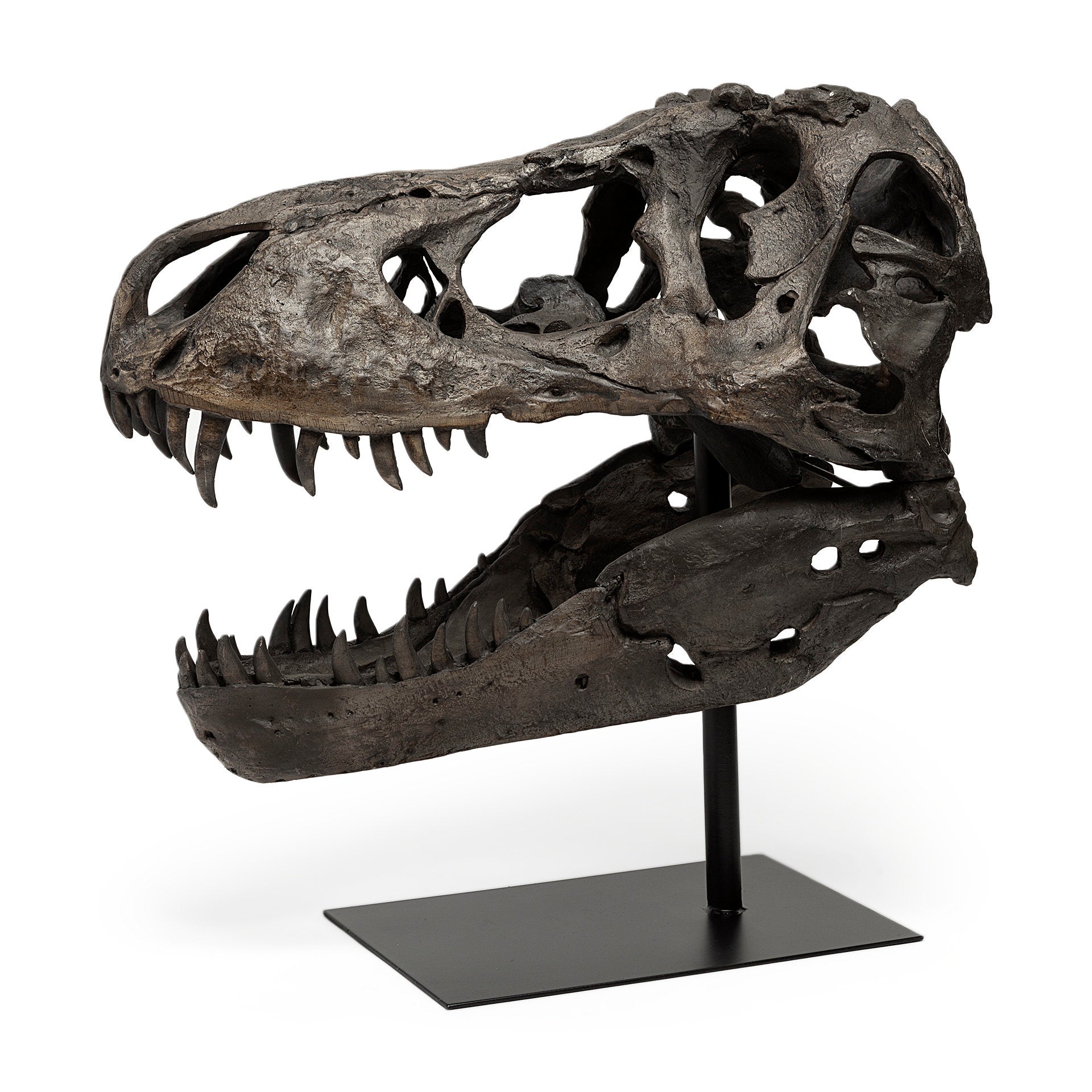 Jurassic Object Mercana Mer 57430 2
