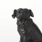 Hugo Sitting Bulldog Object Mercana Mer 57798 7
