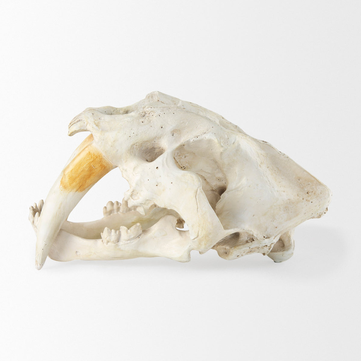 Fozzil Object Mercana Mer 57425 3