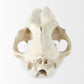 Fozzil Object Mercana Mer 57425 4
