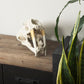 Fozzil Object Mercana Mer 57425 12