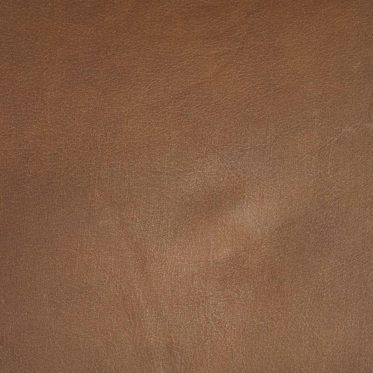 Taniel Leather Seat Bar Counter Stool Mercana Mer 70824 17