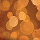 Luci Della Citta Wallpaper in Autumn design by Jill Malek