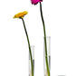 single flower vase 4