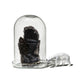 display glass dome 2