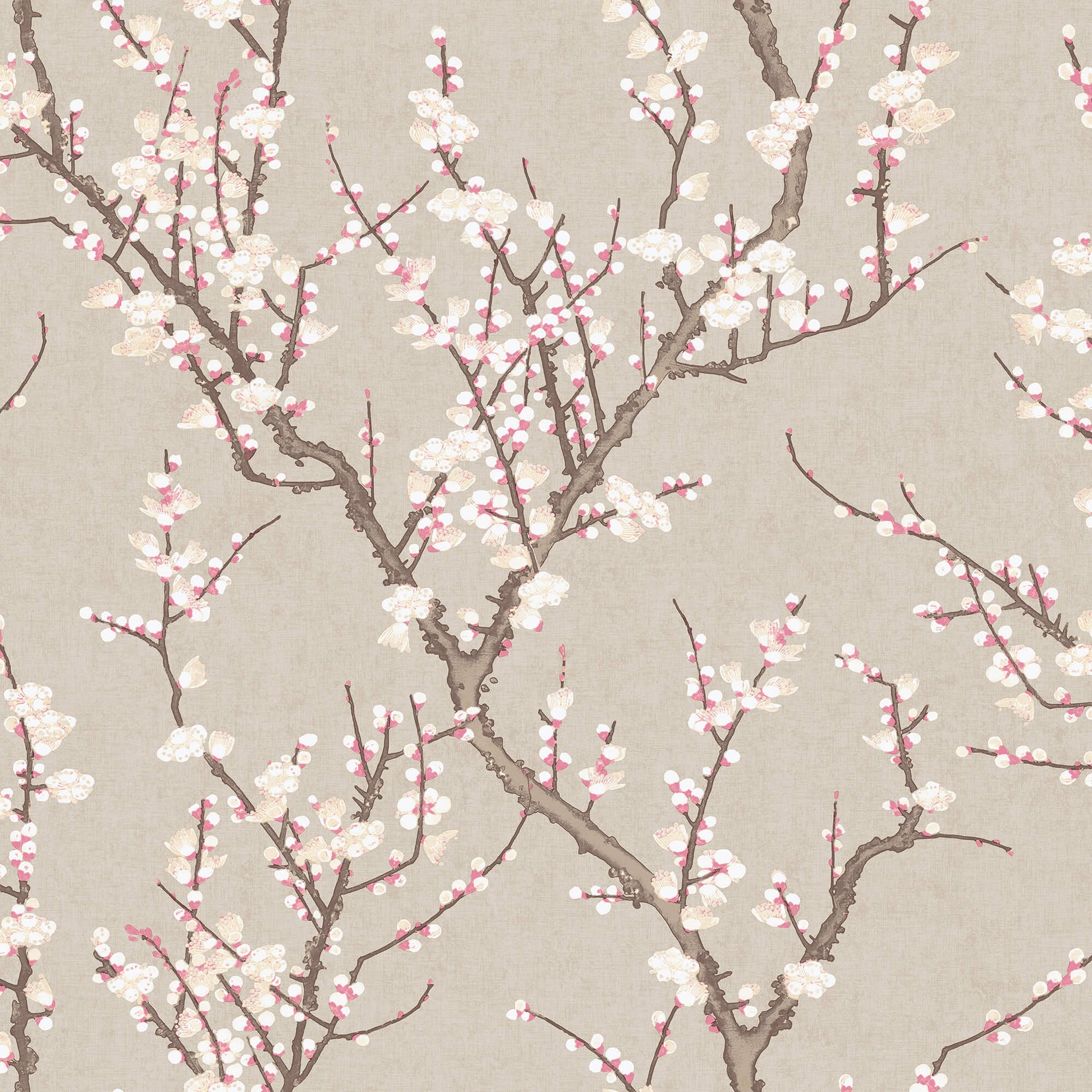 Sample Spring Blossom Sakura Tree Wallpaper in Beige