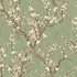 Sample Spring Blossom Sakura Tree Wallpaper in Green