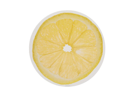 Citrus Placemat Chilewich Chw 101057 001 3
