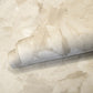 Paeonia Plain Wallpaper in Beige