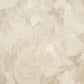 Paeonia Plain Wallpaper in Beige