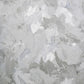 Paeonia Plain Wallpaper in Ash