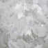 Paeonia Plain Wallpaper in Ash