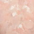 Paeonia Plain Wallpaper in Blush