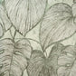 Monstera Wallpaper in Olive Sage