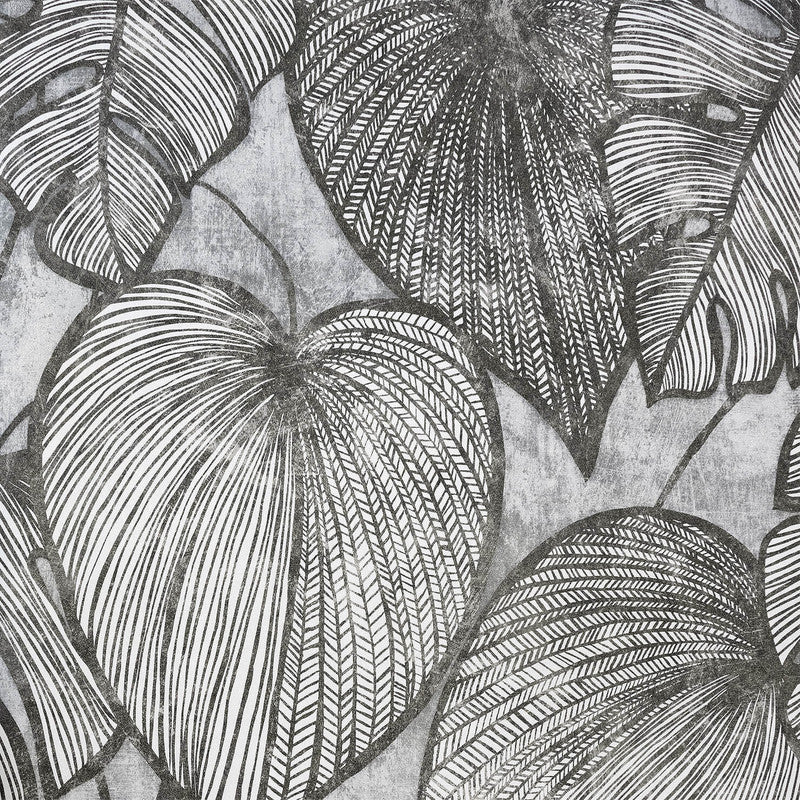 Monstera Wallpaper in Black Mid Lead