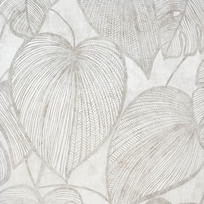 Monstera Wallpaper in Mirror White