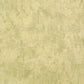 Monstera Plain Wallpaper in Lime