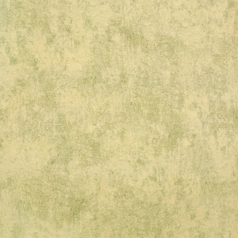 Sample Monstera Plain Wallpaper in Lime