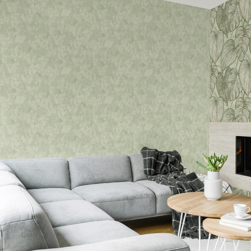 Monstera Plain Wallpaper in Sage