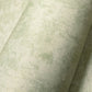 Monstera Plain Wallpaper in Sage