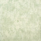 Monstera Plain Wallpaper in Sage