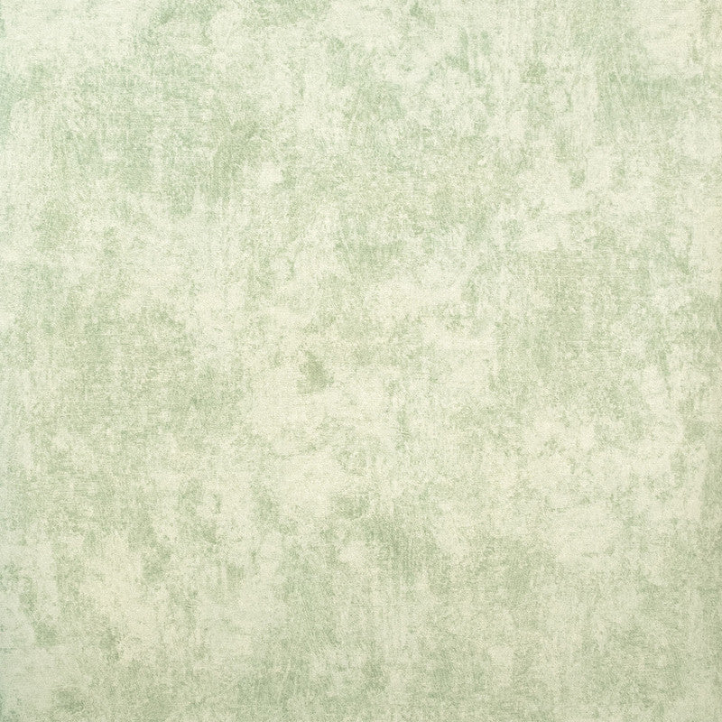 Monstera Plain Wallpaper in Sage
