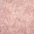 Monstera Plain Wallpaper in Blush