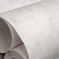 Monstera Plain Wallpaper in White