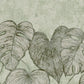 Monstera Twinwall Wall Mural in Olive Sage