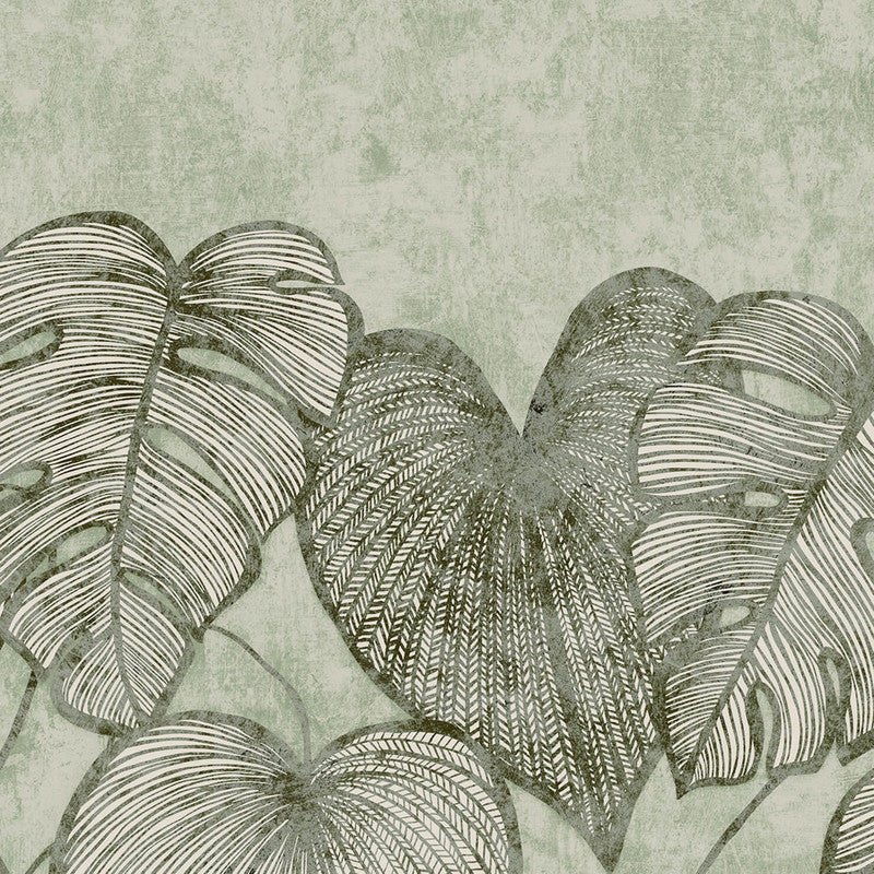 Monstera Twinwall Wall Mural in Olive Sage