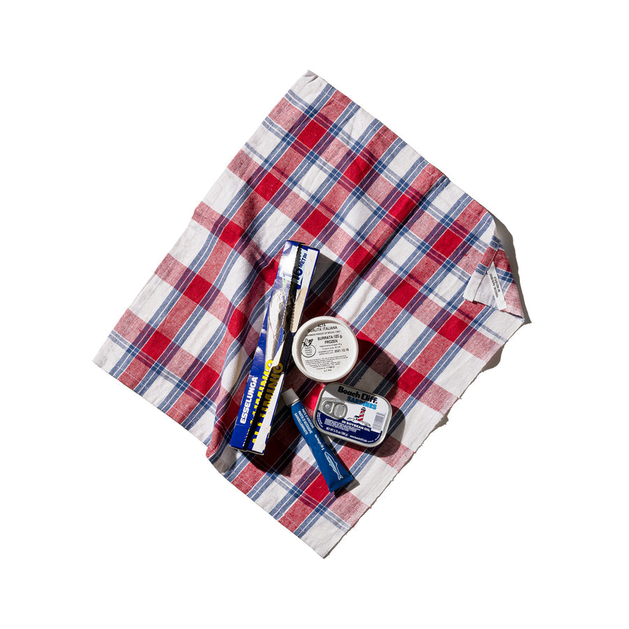 India Cloth - Tricolor Check 3